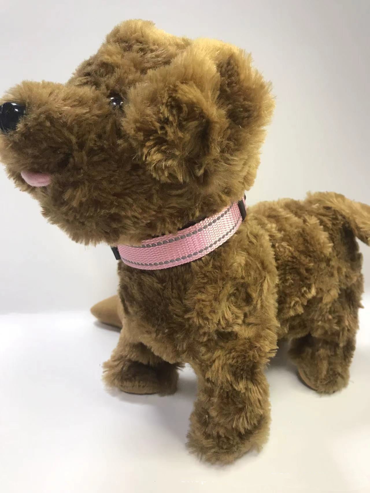 Collier Réglable – Confort et Sécurité pour Votre Chien