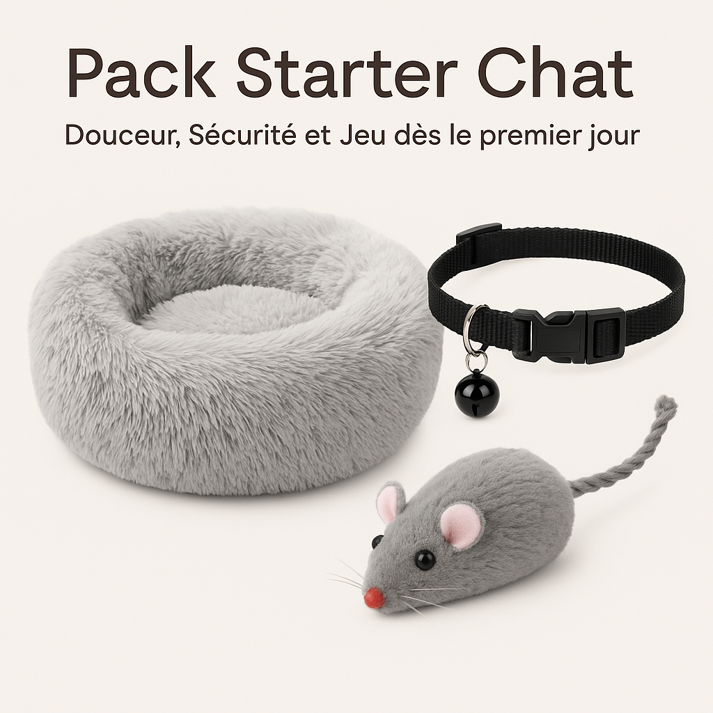 pack-starter-chat-douceur-securite-et-jeu-des-le-premier-jour