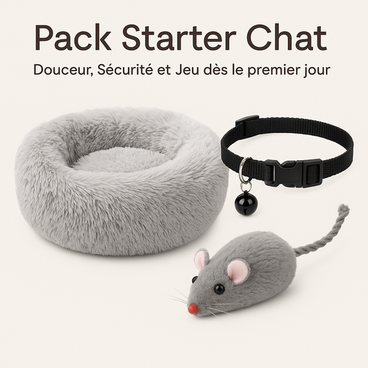 pack-starter-chat-douceur-securite-et-jeu-des-le-premier-jour